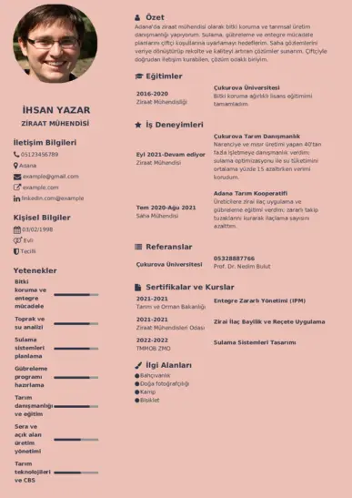  cv indir